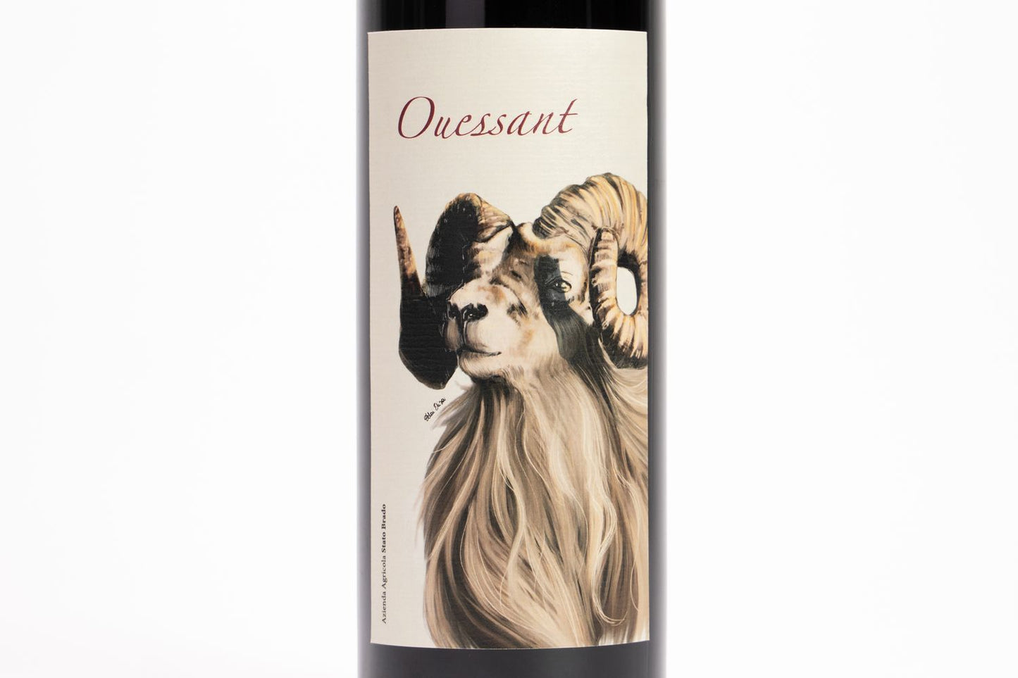 Vino Rosso "Ouessant"