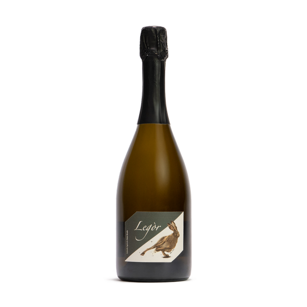 Bollicine 