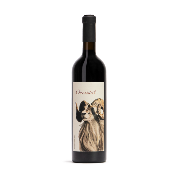 Vino Rosso 
